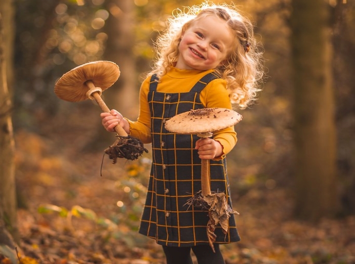 Finding Fungi image