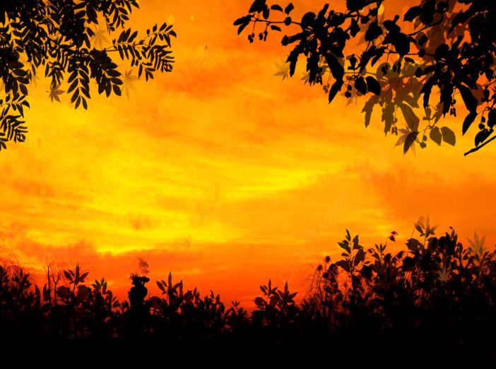 Sunset Nature HIke image